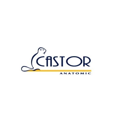 CASTOR